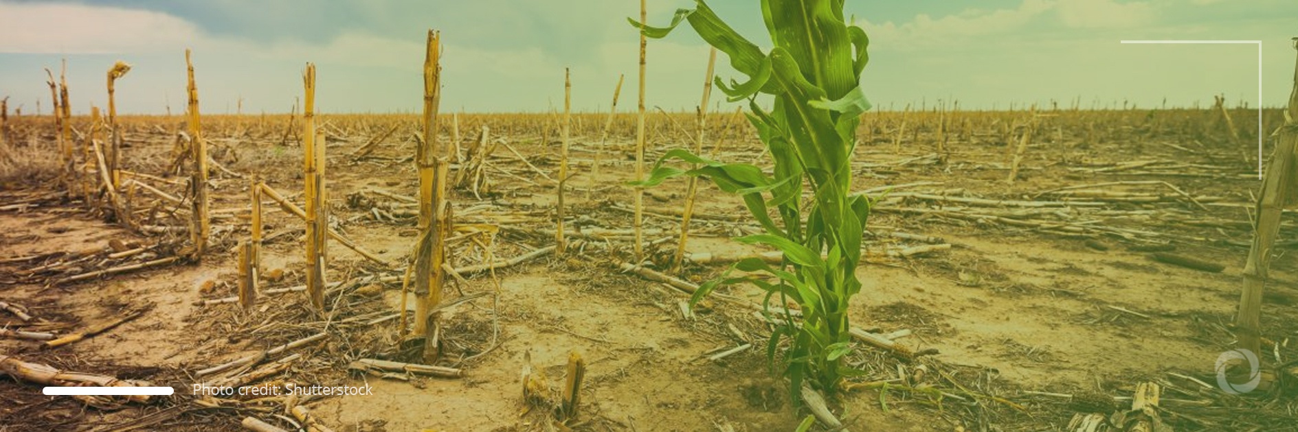 Food insecurity to grow if climate change is not tackled properly Food insecurity to grow if climate change is not tackled properly