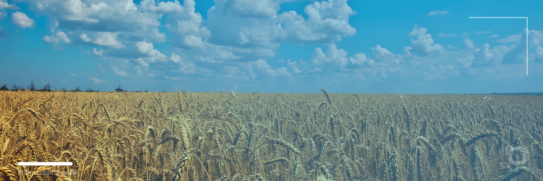 Global economic impacts of Russia’s war against Ukraine Global economic impacts of Russia’s war against Ukraine