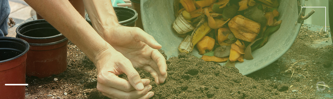 Natural fertilizers from organic waste for more circular agriculture and food systems Natural fertilizers from organic waste for more circular agriculture and food systems