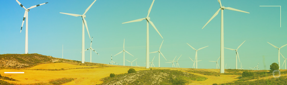 Will US Trump’s executive order ruin wind energy sector and revive oil, gas production? Will US Trump’s executive order ruin wind energy sector and revive oil, gas production?