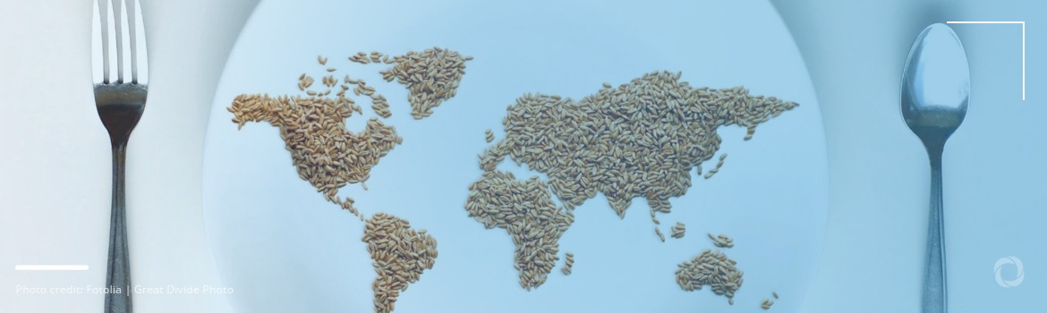 What causes world hunger? The six drivers of food insecurity What causes world hunger? The six drivers of food insecurity