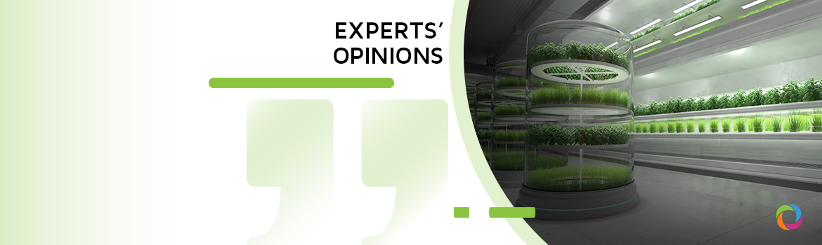 What does the future of food systems look like? | Experts’ Opinions What does the future of food systems look like? | Experts’ Opinions